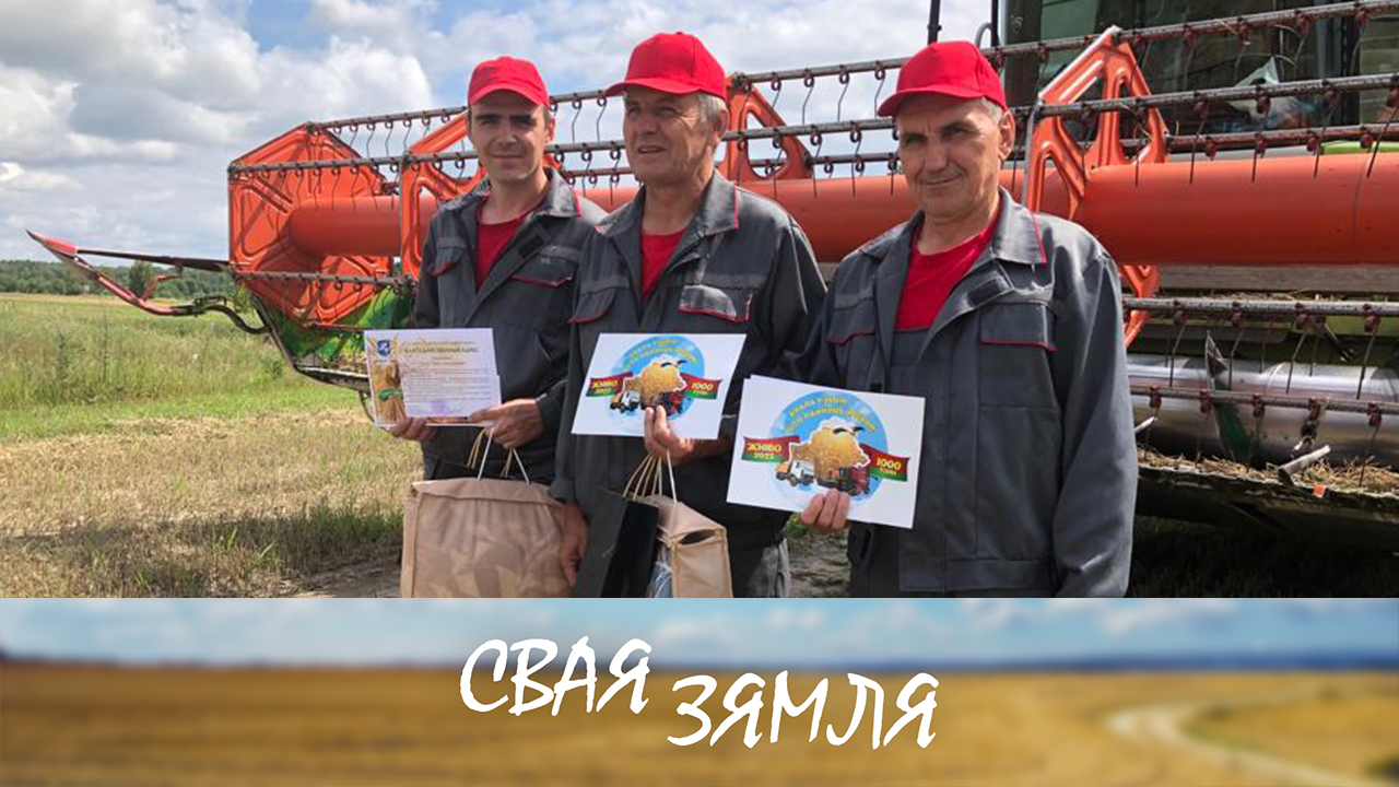 Анонс: Жніўныя дасягненні сапраўдных гаспадароў беларускай зямлі – «Свая зямля», 19.08.2023