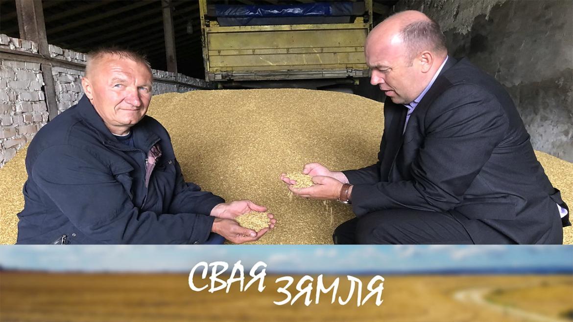 АЗІМЫ ЯЧМЕНЬ ДОБРА ЎРАДЗІЎ! – «СВАЯ ЗЯМЛЯ», 16.07.2022 (відэаанонс)