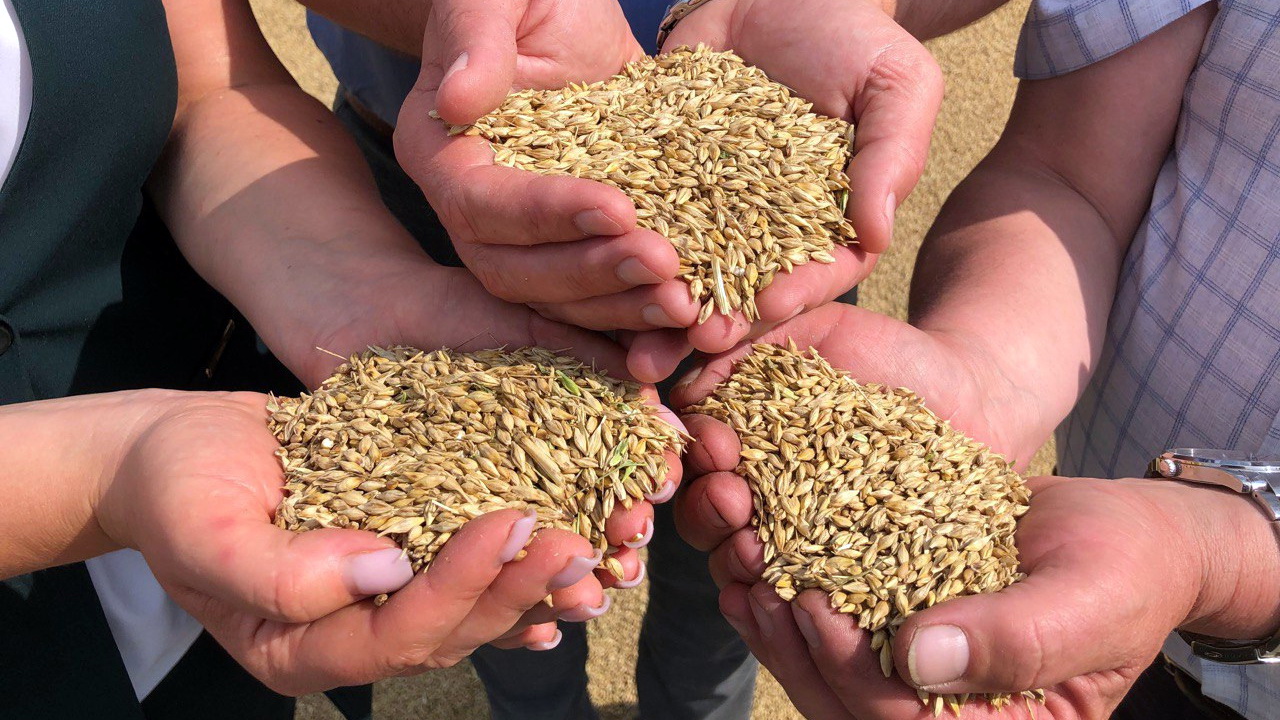 Анонс: Працаўнікі вёскі гарантуюць харчовую бяспеку – Спецпраект «Мы – Беларусь», 13.11.2025