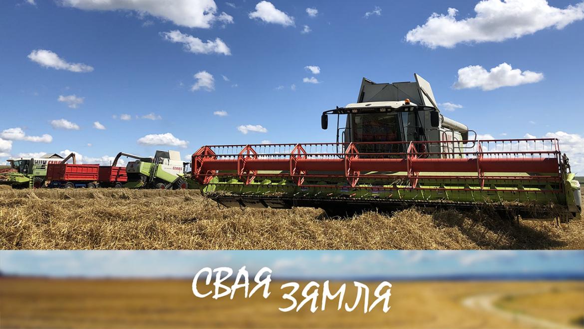 ЗБОЖЖАВЫЯ ВЫДАТНІКІ АГРАКАМБІНАТА «СНОЎ» – «СВАЯ ЗЯМЛЯ», 13.08.2022 (відэаанонс)