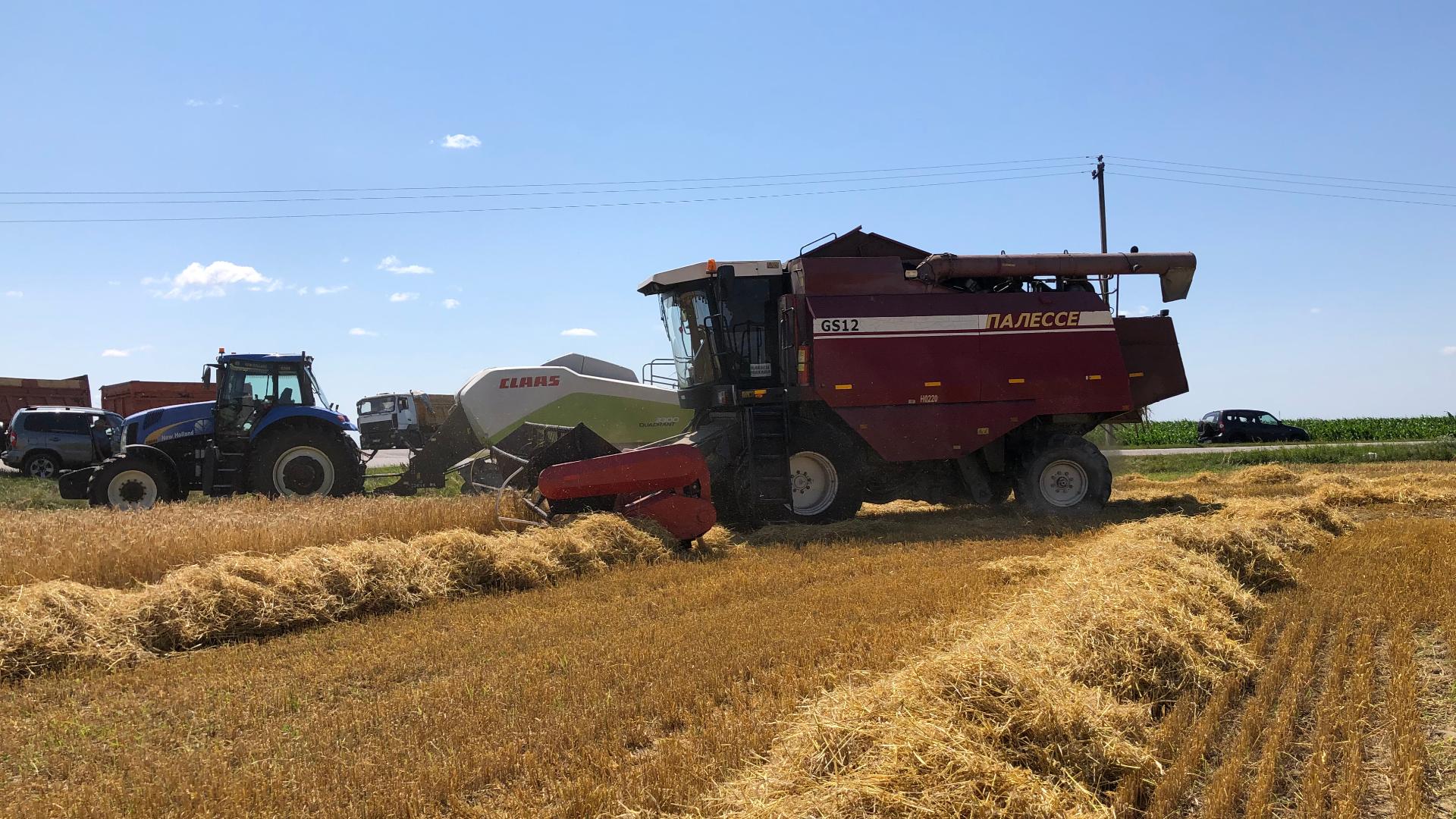 Якасць і тэмпы – складнікі поспеху на жніве – «Свая зямля»