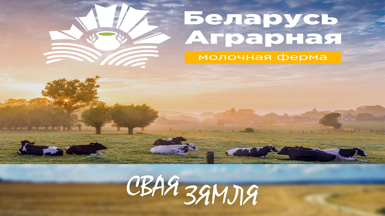 Анонс: РАСЦЕ ПОПЫТ НА БЕЛАРУСКАЕ «БЕЛАЕ ЗОЛАТА» – «Свая зямля», 4.03.2023