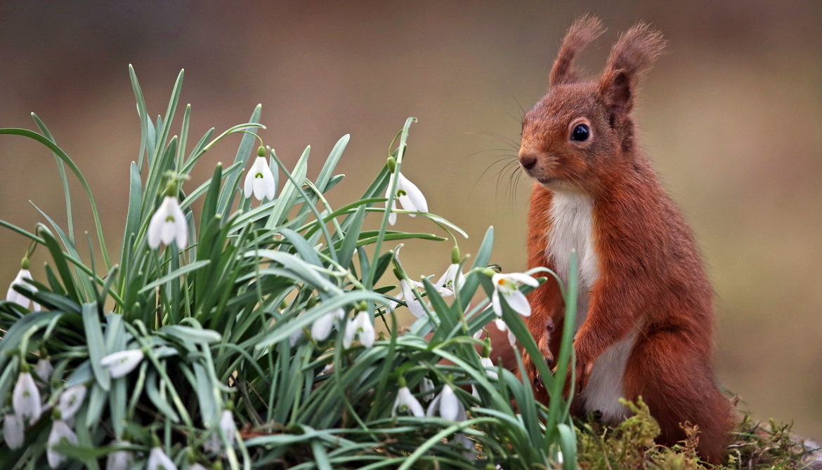 «Вясна – для стваральнай працы! Я так думаю, а вы?» Радыёблог Алены Давідовіч (аўдыё)