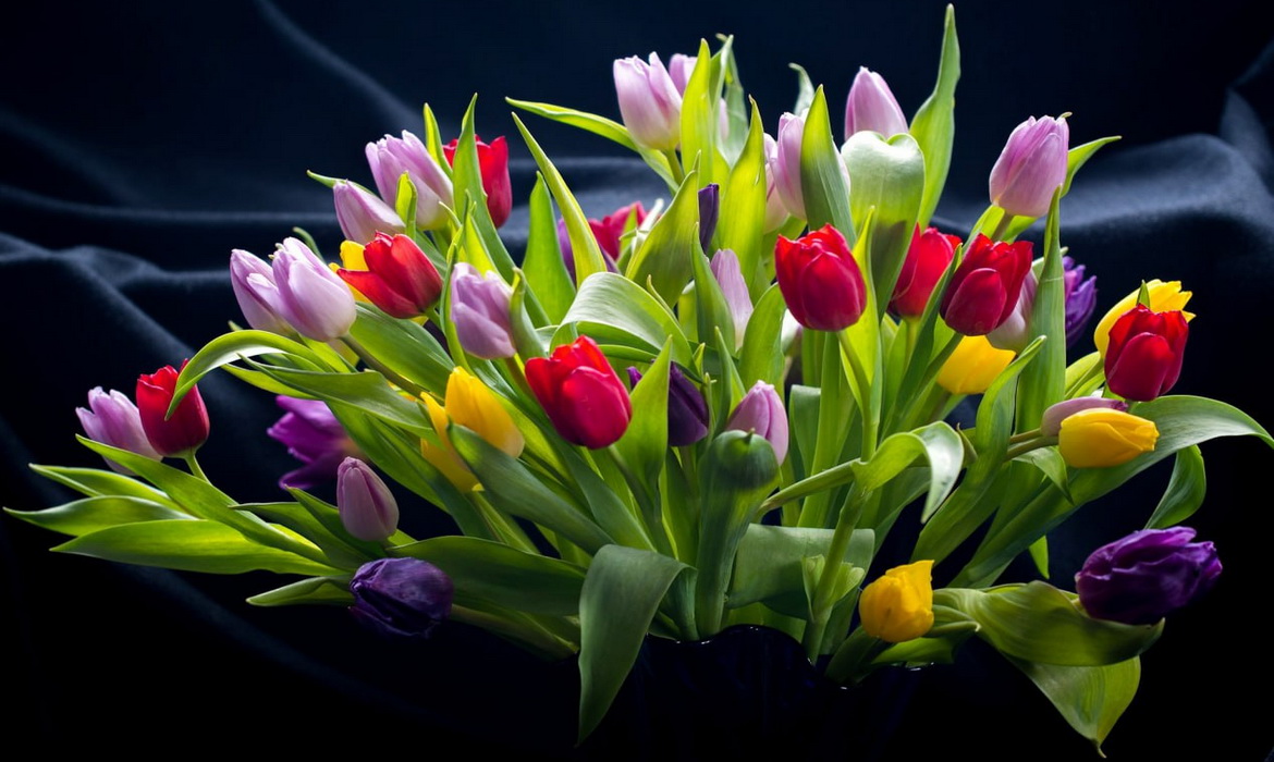 ЭФИРНАЯ АКЦИЯ ко ДНЮ ЖЕНЩИН 8 МАРТА на БЕЛОРУССКОМ РАДИО!