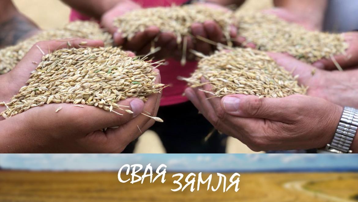 МОЛАДЗЬ НА ЖНІВЕ – «СВАЯ ЗЯМЛЯ», 31.07.2021 (відэаанонс)