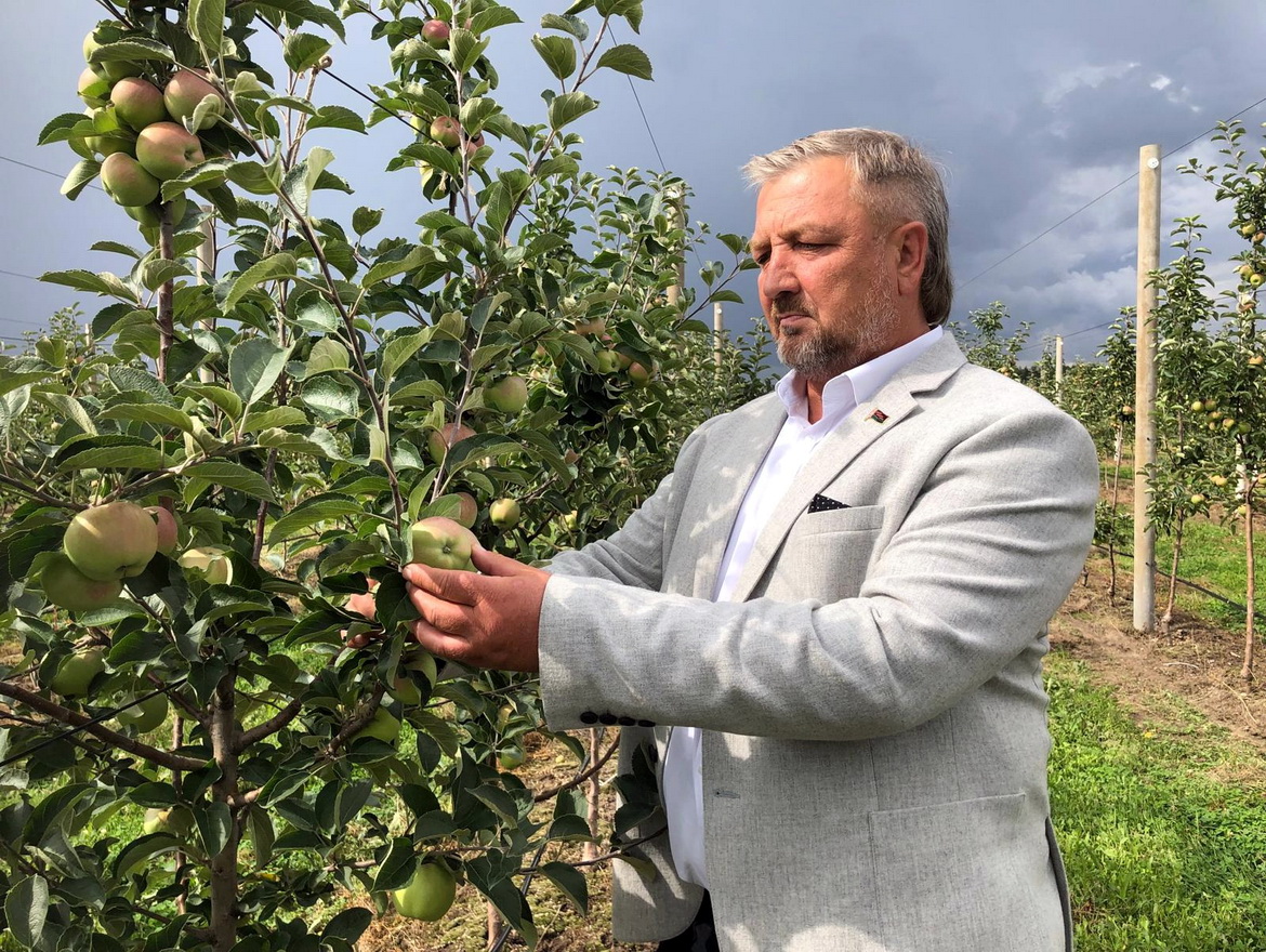 Імпартазамяшчэнне беларускіх садаводаў на Брэстчыне – «Свая зямля»