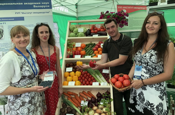 Беларускія таматы «чэры» і бульба для дранікаў – «Свая зямля», 29.06.2019 (відэаанонс) Беларускія таматы «чэры» і бульба для дранікаў – «Свая зямля», 29.06.2019 (відэаанонс)