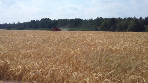 «Свая зямля», 4.08.2018, у 6.20, на Першым нацыянальным канале Беларускага радыё.