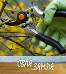 Рэбусы айчыннага садаводства – «Свая зямля»
