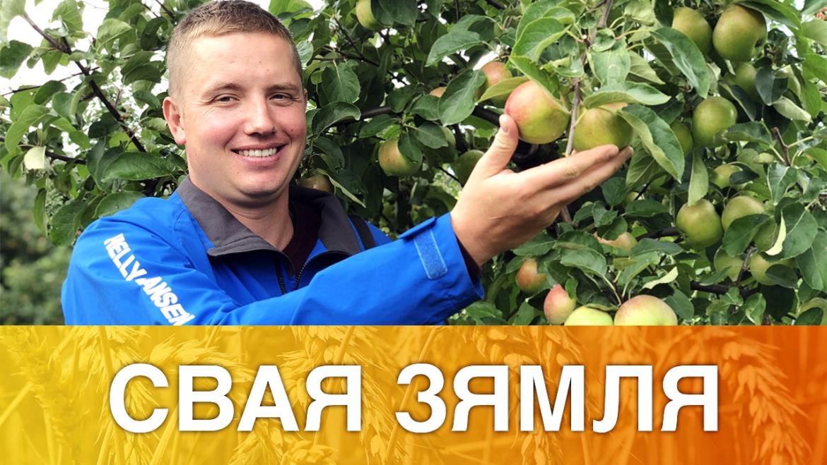 АД ЧАГО ЗАЛЕЖЫЦЬ ЯКАСЦЬ БЕЛАРУСКІХ ФРУКТАЎ І ЯГАД? – «СВАЯ ЗЯМЛЯ», 19.09.2020 (відэаанонс)