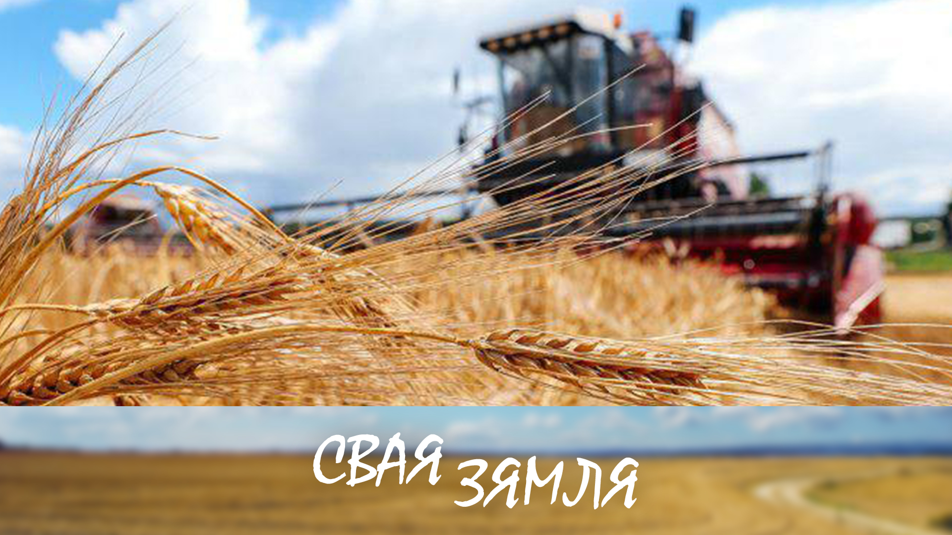 Жатва без потерь – «Своя земля», 20.07.24 