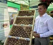Беларускія таматы «чэры» і бульба для дранікаў – «Свая зямля», 29.06.2019 (відэаанонс)