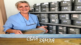 Анонс: Віцебскія аграрыі мяняюць тактыку ў раслінаводстве – «Свая зямля», 29.08.2026