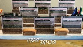 Анонс: Cмелыя рашэнні аграрнай навукі – «Свая зямля», 19.09.2026